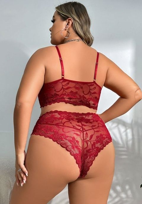 Plus Size Lacy Romance Bra Set